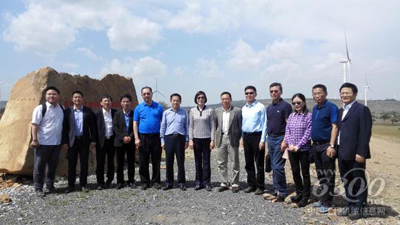 向文波考察阿達(dá)瑪風(fēng)電場并與口行董事長合影