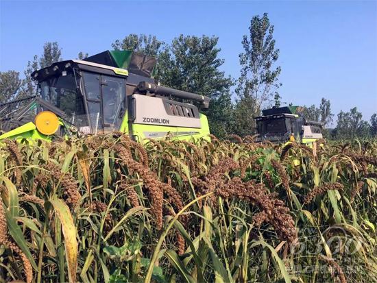 中聯(lián)重科農(nóng)機智能服務(wù)助力農(nóng)業(yè)跨區(qū)秋收