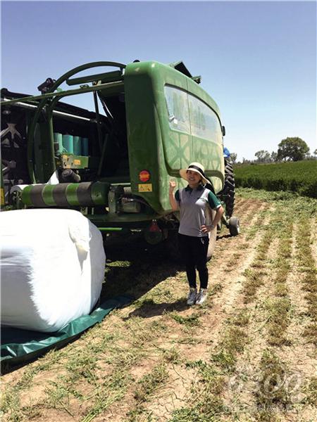 McHale機(jī)器在田間作業(yè)